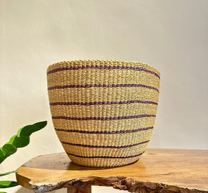 Dofi Basket